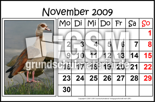11-November-2009-quer.jpg